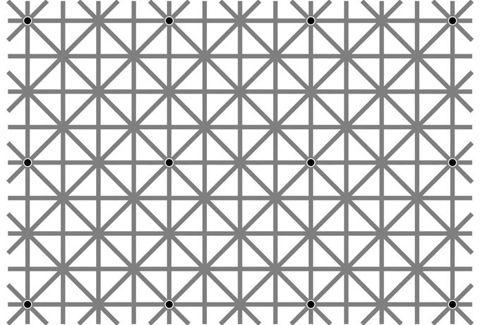 Twelve black dots cannot be seen at once