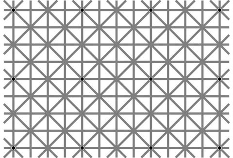 Twelve black dots cannot be seen at once