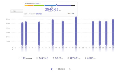 Nike+Jan 2011