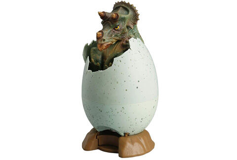 egg バンクシリーズ 恐竜の孵化 トリケラトプス