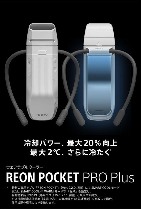 RNPK-P1PT