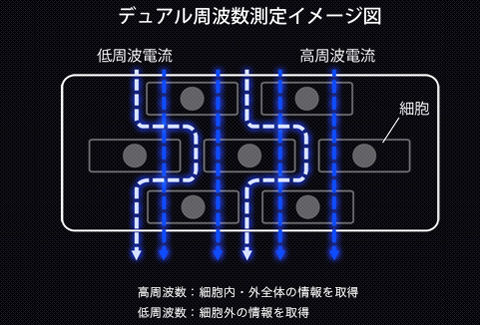 デュアル周波数測定イメージ
