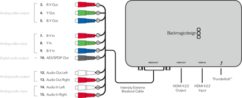 intensityextreme接続図
