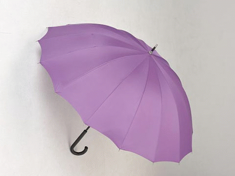 雨に濡れると桜の絵柄が浮き出る傘