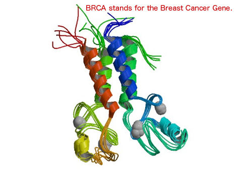 BRCA1