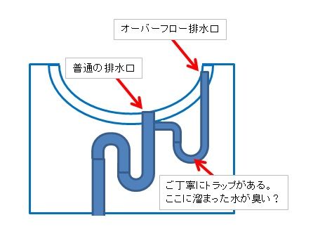 洗面器の排水口とオーバーフローの図