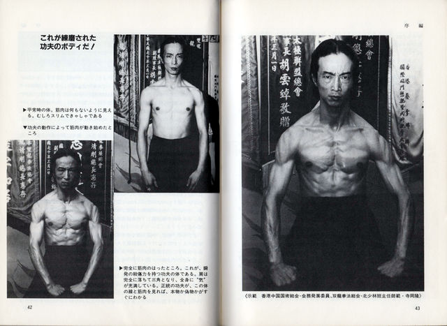 中国拳法秘伝 必殺鉄砂掌』（日東書院） | ビジネスマン空手道