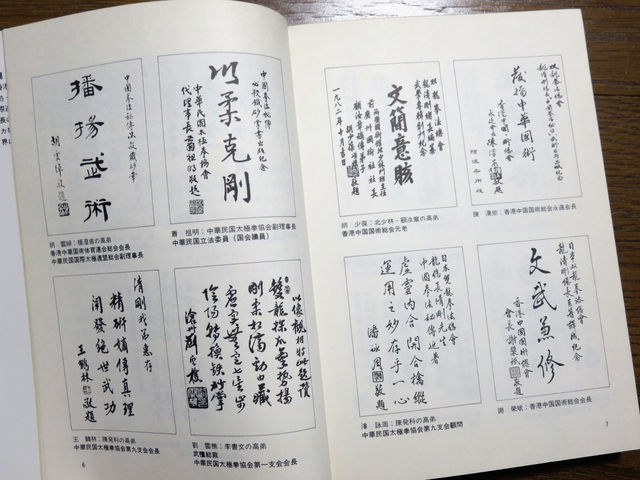 中国拳法秘伝 必殺鉄砂掌』（日東書院） | ビジネスマン空手道