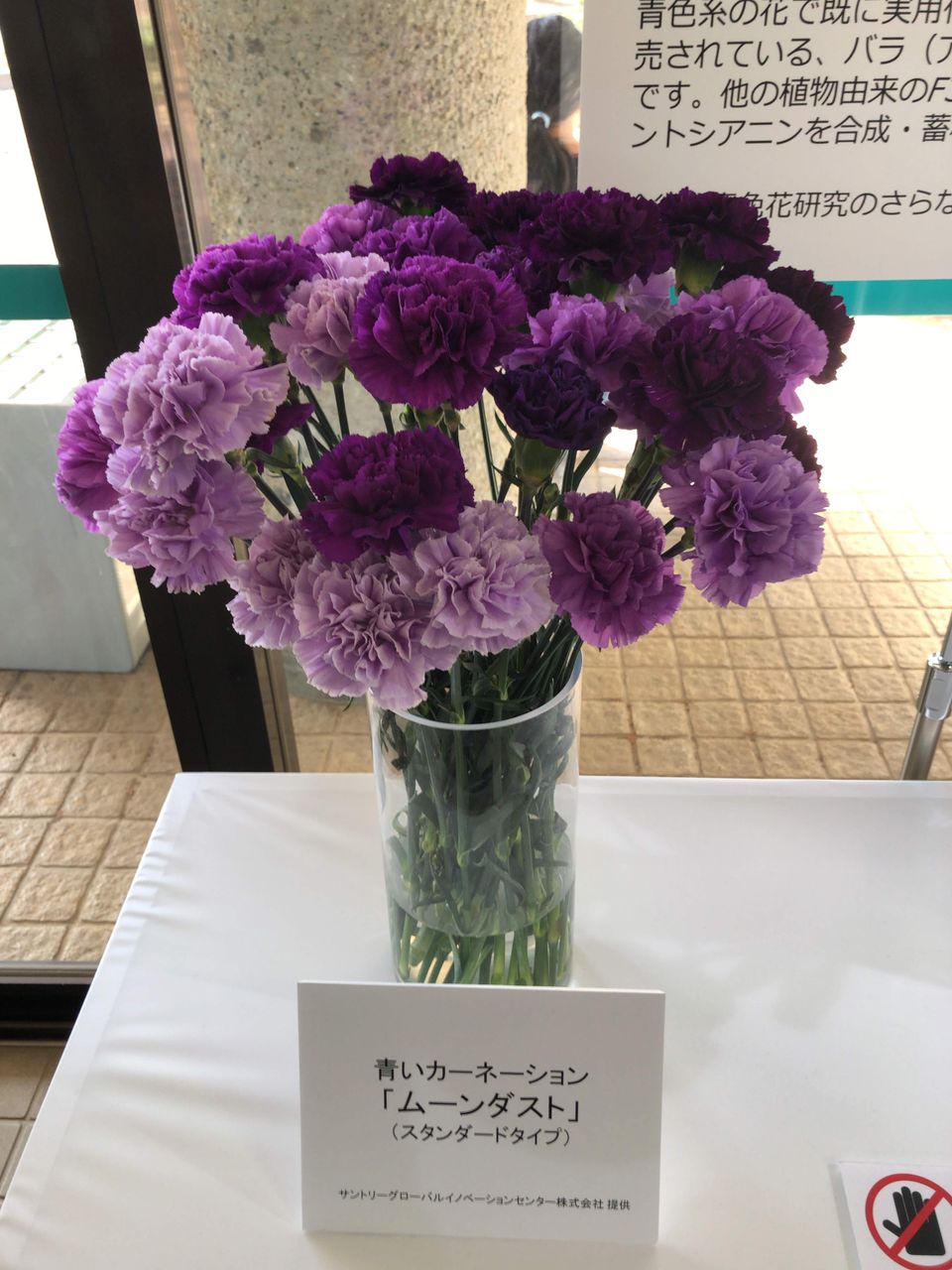 サントリー グローバル イノベーション センター