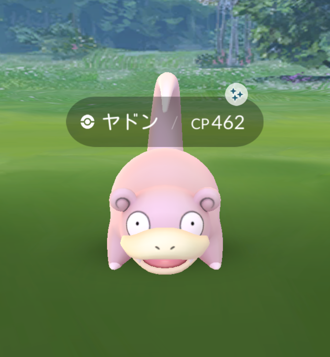 ヤドン バネブー ツヨシは泣いてツヨくなる ヤドン バネブー ツヨシは泣いてツヨくなる