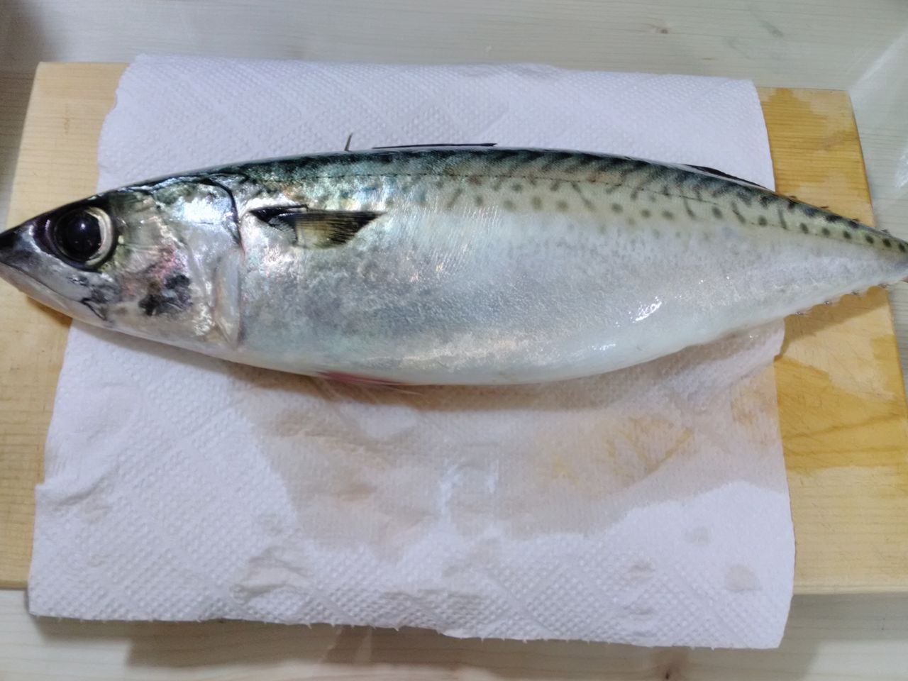 手作り 鯖 サバ のバッテラ寿司 昨日の食前酒の肴 岩永津与志の手作り料理 他 Blog