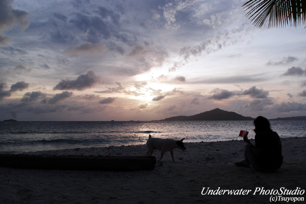 Jeep-Island_07