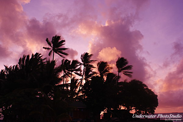 Jeep-Island_04