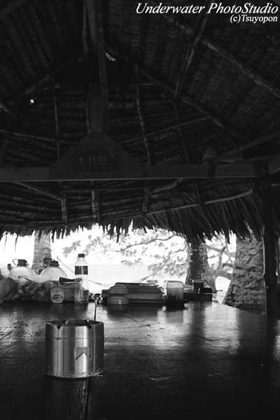 Jeep-Island_08