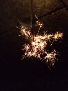 写真 2