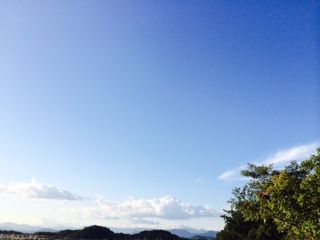 写真 4