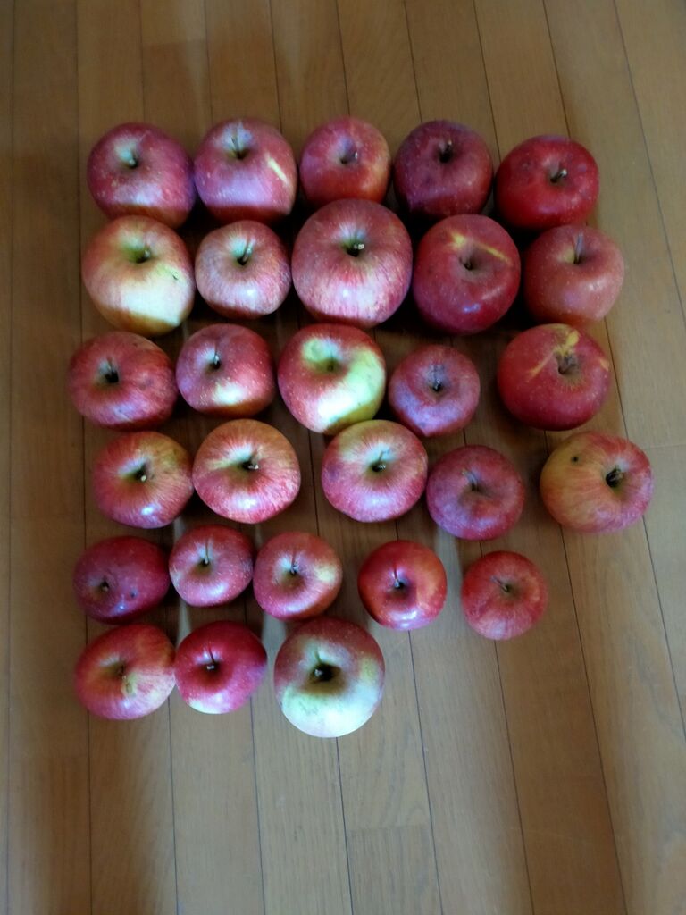 金子リンゴ園」でお得な価格でサンふじ🍎を購入@群馬県沼田市