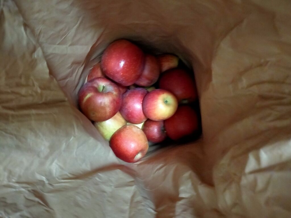 金子リンゴ園」でお得な価格でサンふじ🍎を購入@群馬県沼田市