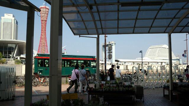 14年7月21日のタッチ ねこ１号のblog