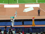 donaldo