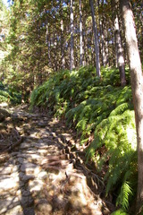 2e088387.jpg