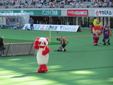 パンダ