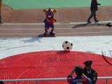 子狸2