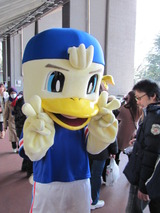 毬