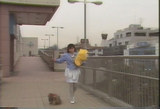川島なお美+犬