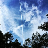 写真 2016-09-17 11 36 57