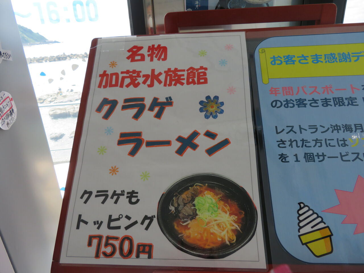 加茂水族館 Babadora 世界をあっちこっち