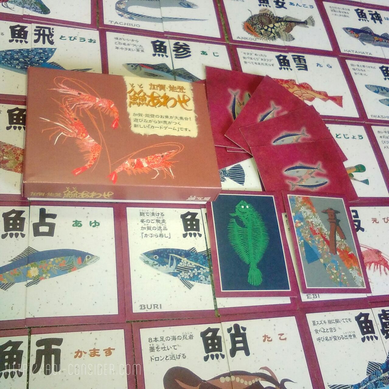 ととあわせで魚の漢字を学ぶ 子供の教育にも楽しい 珍しいカード