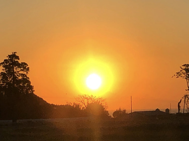 6C3CE8A5-B5F0-47FF-ADD1-5335B54C2B28