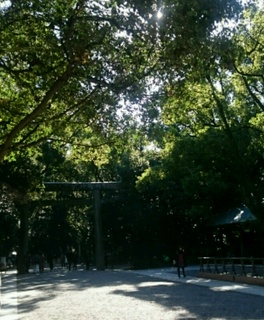 db086833.jpg