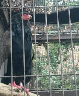 f77755c3.jpg