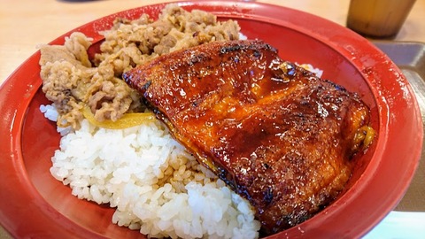 unagi