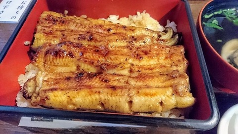 shinmatu1