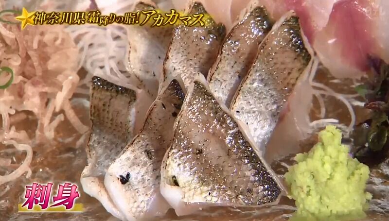 満天青空レストラン 神奈川県藤沢市の霜降りアカカマスの炙りが美味そう 館山 南房総のランチ グルメ カフェおすすめ情報 満天青空レストラン 神奈川県藤沢市の霜降りアカカマスの炙りが美味そう 館山 南房総のランチ グルメ カフェおすすめ情報