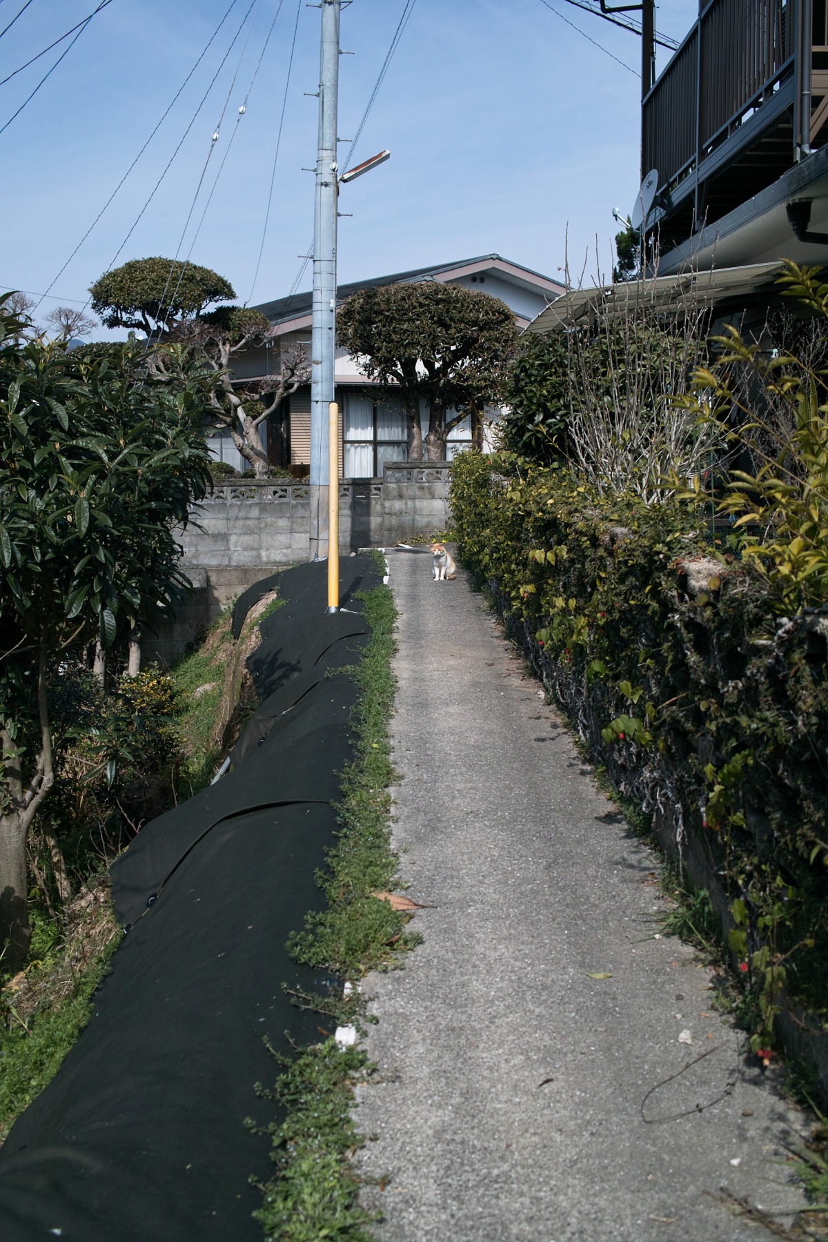 本日の散歩 長崎市 辻町 三原 江平 長崎坂道 本日の散歩 長崎市 辻町 三原 江平 長崎坂道