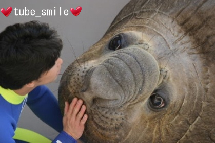 新江ノ島水族館 みなぞうクン ｓａｙ ｈｅｌｌｏ