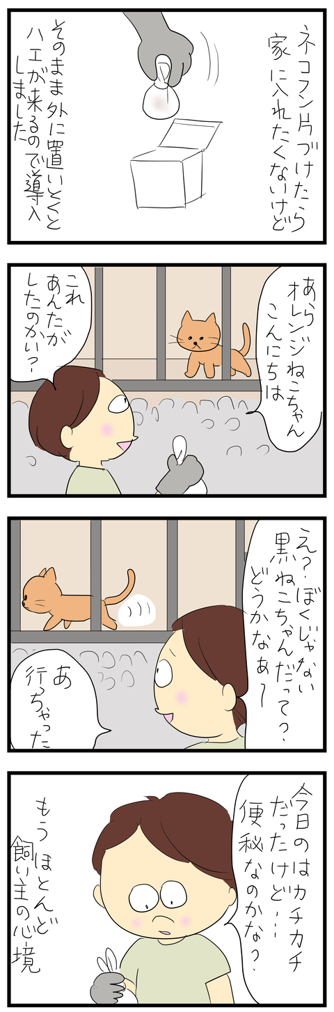 2026-07-15い