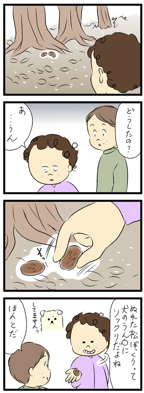 2023-11-15い