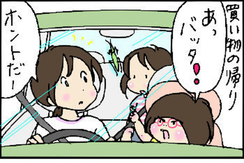2015-09-03さむね