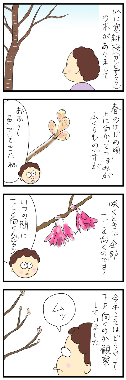2025-03-25あ