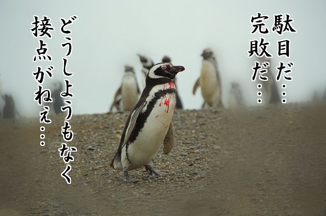 東方 ペンギン 東方まとめたいブログ