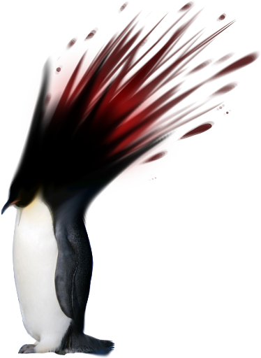 1447420248634