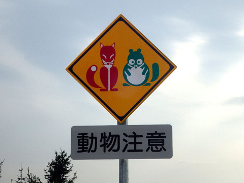 1550901164780