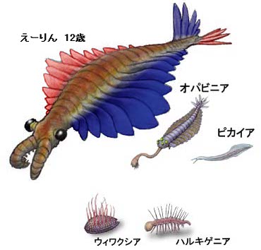 1560428649366