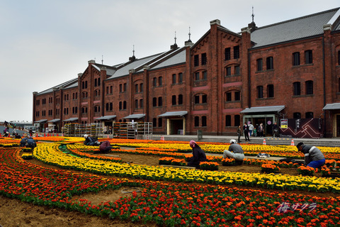 1400770457180