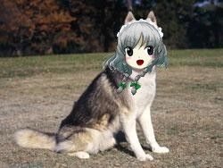1407060347576